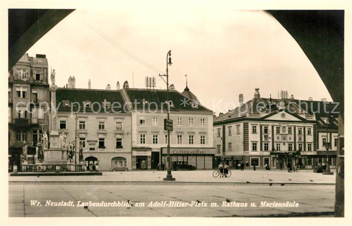 Wiener Neustadt Rathaus Mariensäule