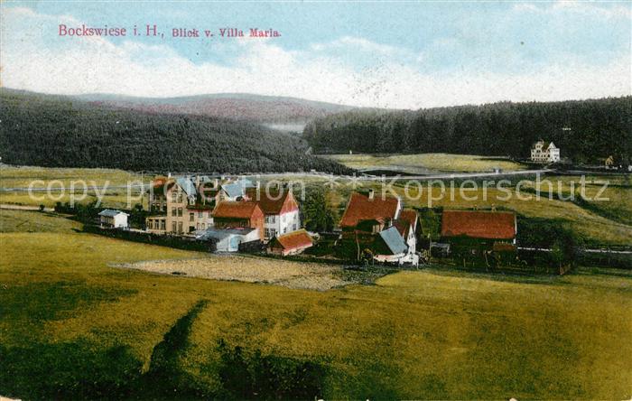 Bockswiese-Hahnenklee Harz Panorama von der Villa Maria