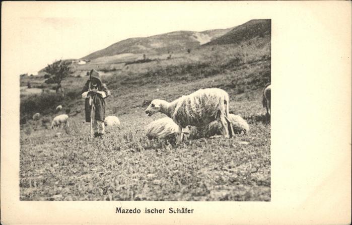 Schaeferei Landwirtschaft Schafe Mazedonien