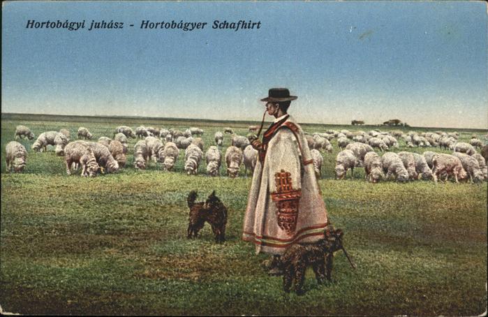 Schaeferei Landwirtschaft Pfeife Hund Schafe