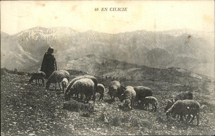 Schaeferei Landwirtschaft Schafe