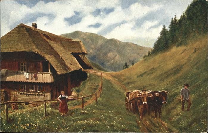 Landwirtschaft Werktag im Schwarzwald Ochsen