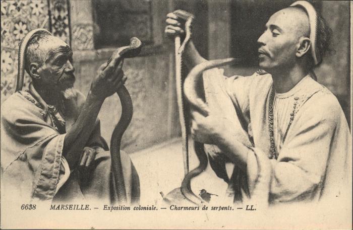 Marseille Bouches-du-Rhone Schlangen