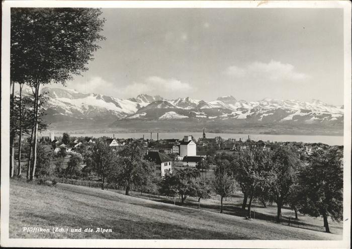 Pfaeffikon ZH Panorama