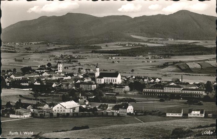 Furth Wald Panorama