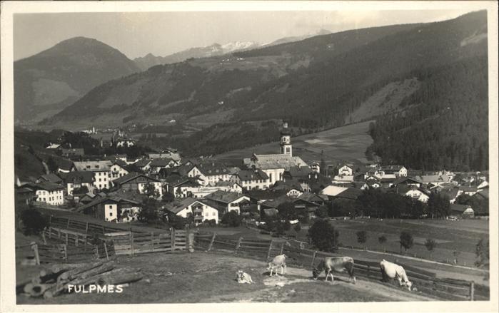 Fulpmes Tirol Kühe