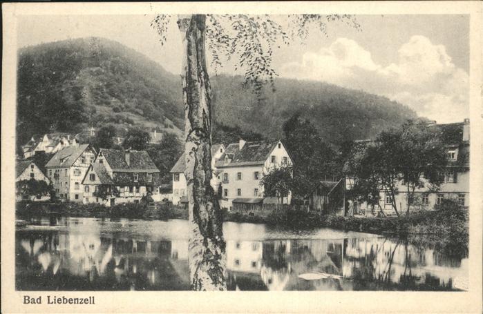 Bad Liebenzell Teilansicht