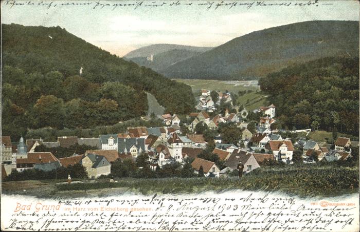 Bad Grund Panorama
