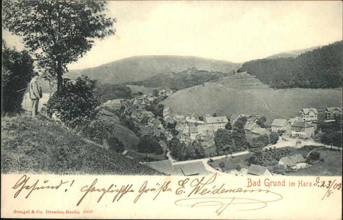 Bad Grund Panorama