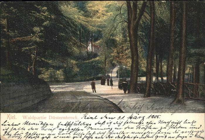 KIEL CITY Waldpartie Duesternbrock