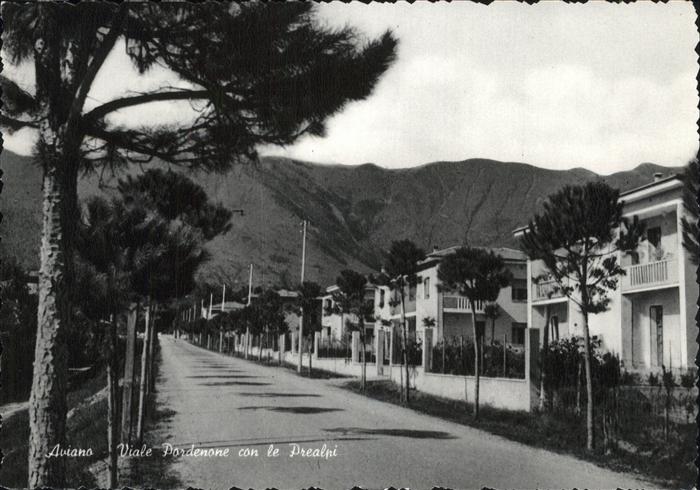 Aviana Viale Pordenone