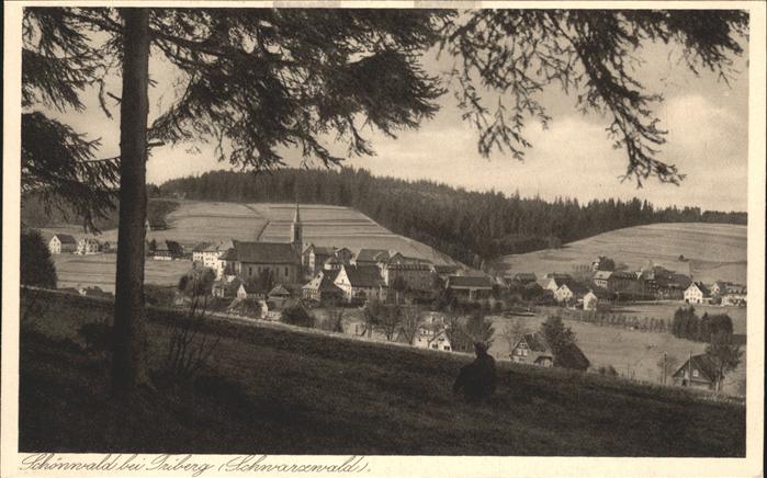 Schoenwald Triberg Schwarzwald