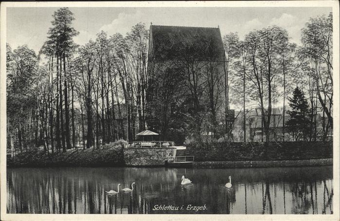 Schlettau Erzgebirge Teich Schwäne