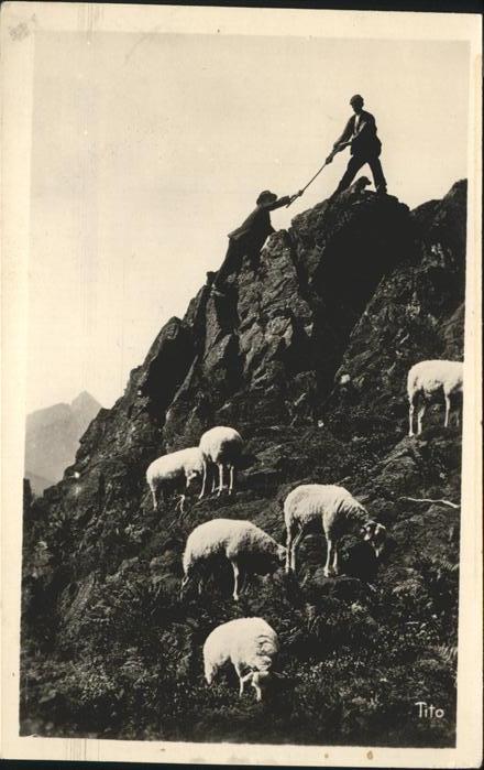 Cauterets Schafe Pyrenees