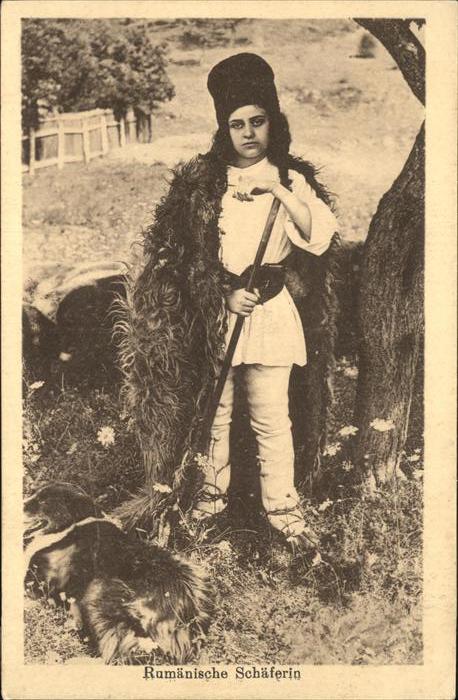 Schaeferei Landwirtschaft Rumänien