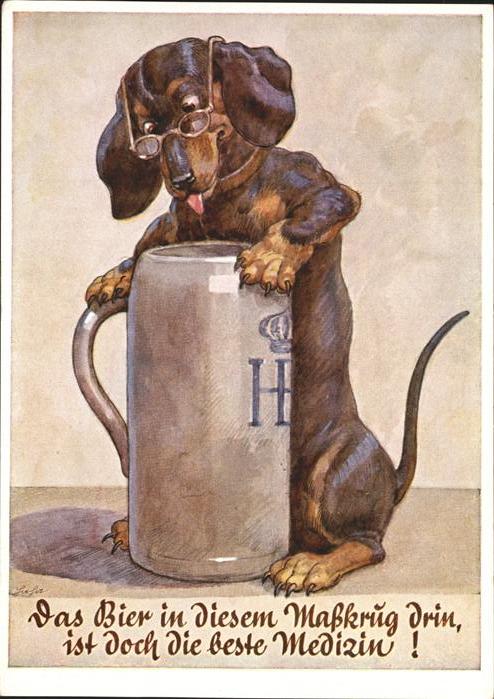 Dackel Dachshund Teckel Hunde dogs Chien Bierkrug