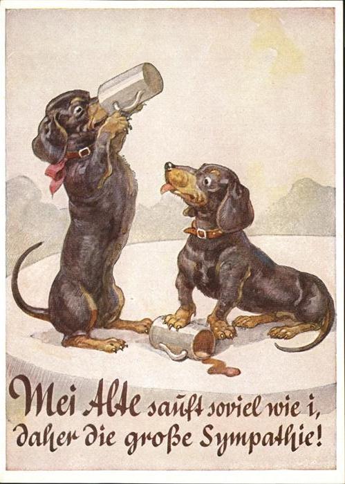 Dackel Dachshund Teckel Hunde dogs Chien Bierkrug