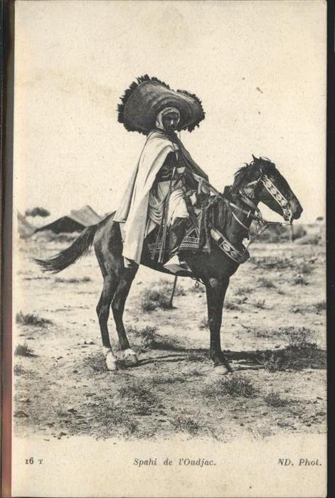 Pferde Spahi Oudjac