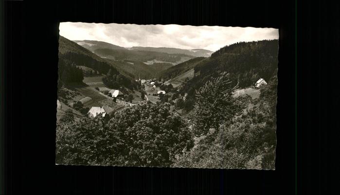 Triberg Schwarzwald Nussbachtal