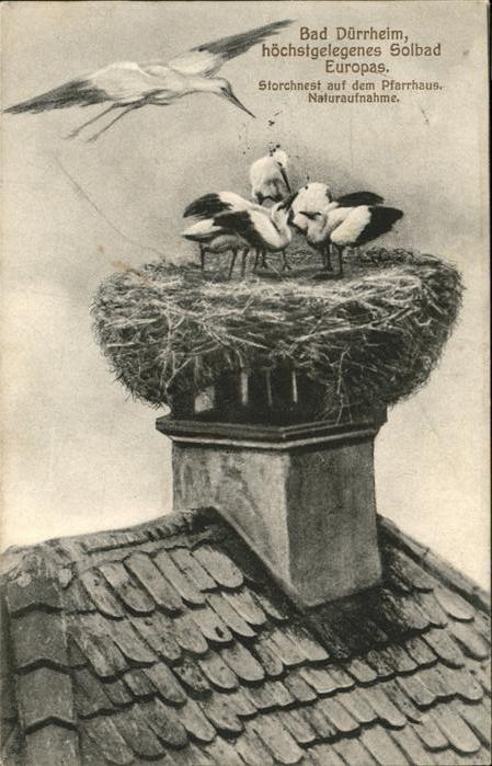 Bad Duerrheim Storchnest auf Pfarrhaus