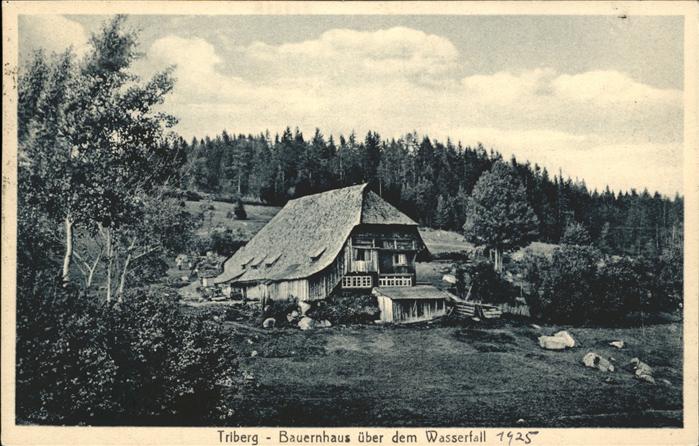 Triberg Schwarzwald Bauernhaus über Wasserfall