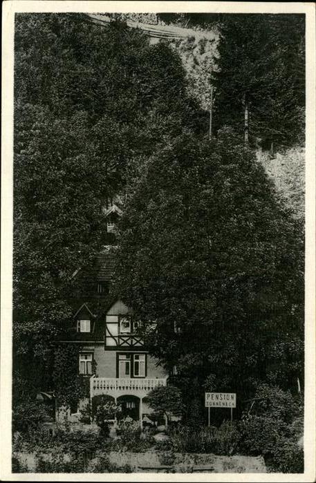 Triberg Schwarzwald Haus Sonneneck