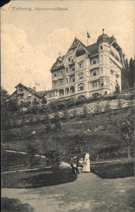Triberg Schwarzwald Schwarzwald Hotel Hund