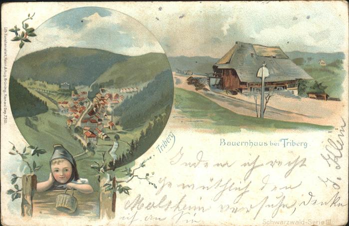 Triberg Schwarzwald Bauernhaus