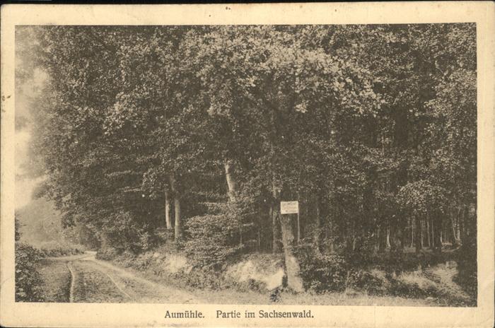 Aumuehle Sachsenwald