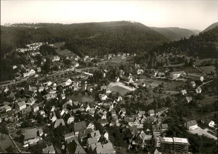 Bad Liebenzell Panorama