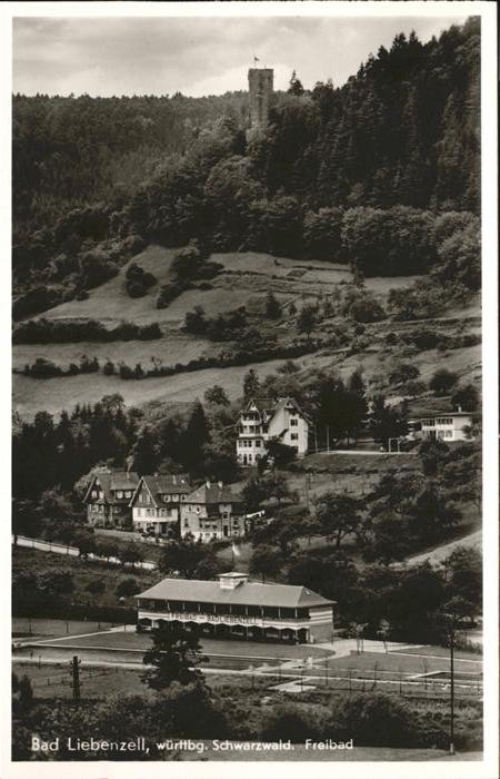 Bad Liebenzell Totalansicht