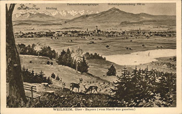Weilheim Oberbayern Reh