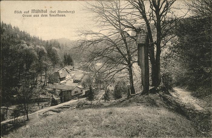 Starnberg Starnbergersee Bayern Muehltal