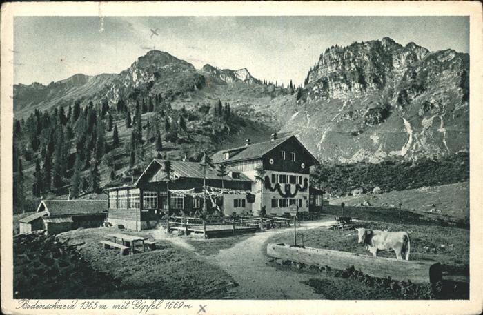 Bodenschneid Gipfel Brunnen Kühe