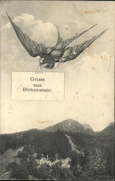 Birkenstein Schwalbe Panorama