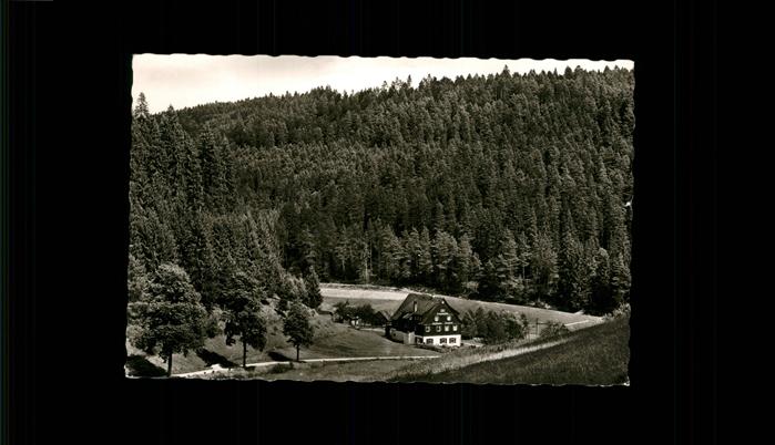 Altensteig Wuerttemberg Gasthaus Pension Kropfmühle