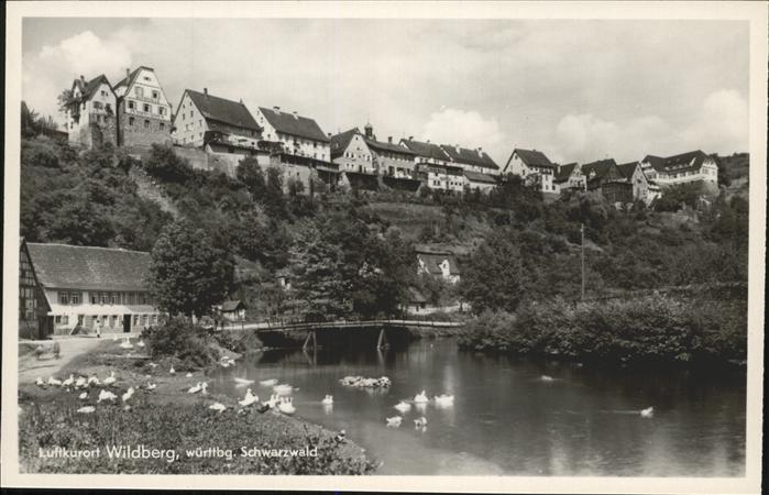 Wildberg Schwarzwald Schwan