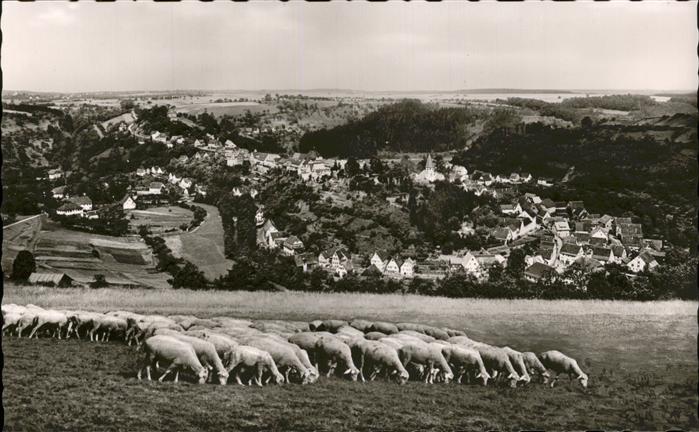 Wildberg Schwarzwald Schafe