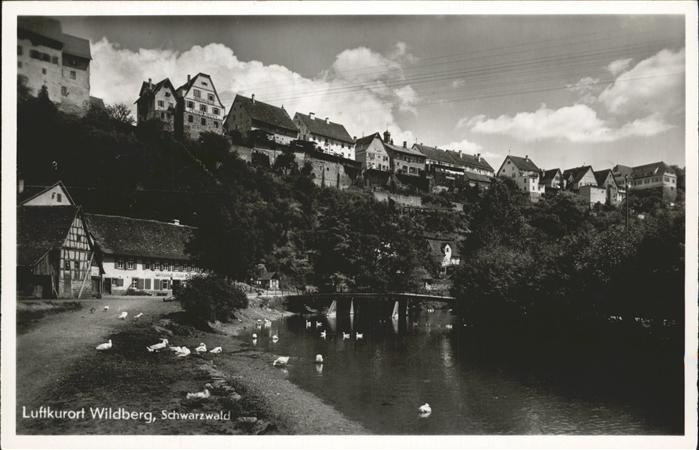 Wildberg Schwarzwald Schwan