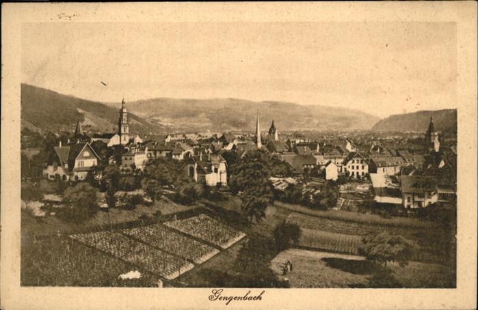 Gengenbach Totalansicht