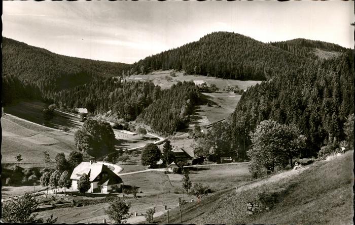 Bad Rippoldsau Schwarzwald Panorama