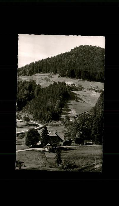 Bad Rippoldsau Schwarzwald Panorama
