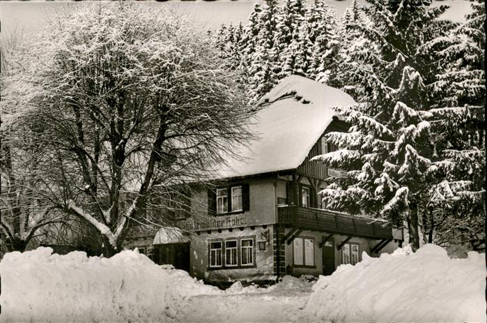 Bad Rippoldsau Schwarzwald Pension Holzwälderhöhe