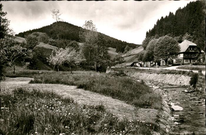 Bad Rippoldsau Schwarzwald Pension Holzwälderhöhe