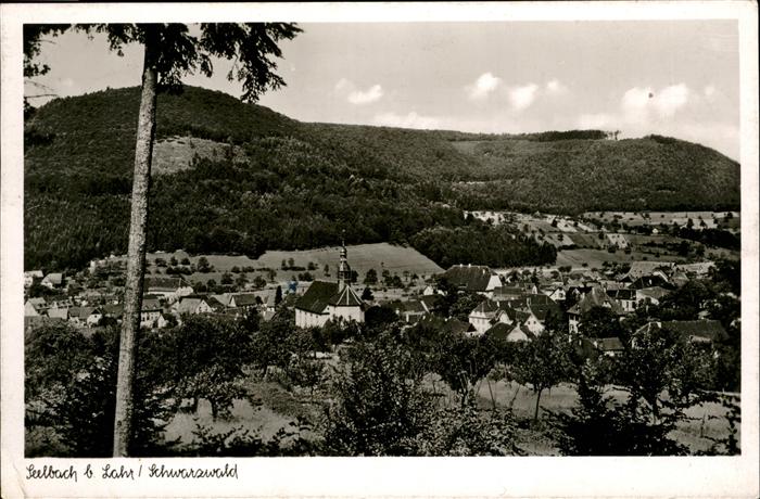 Seelbach Schutter Panorama