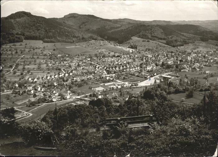 Seelbach Schutter Totalansicht