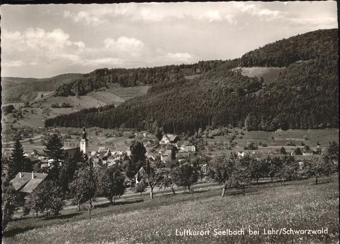 Seelbach Schutter Totalansicht