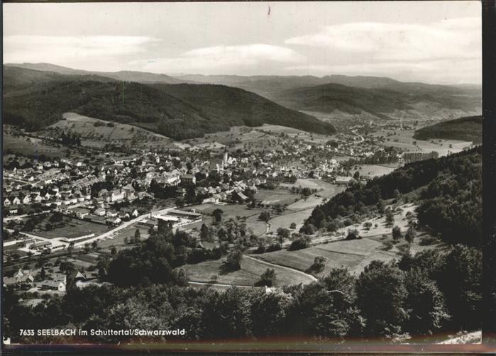Seelbach Schutter Panorama