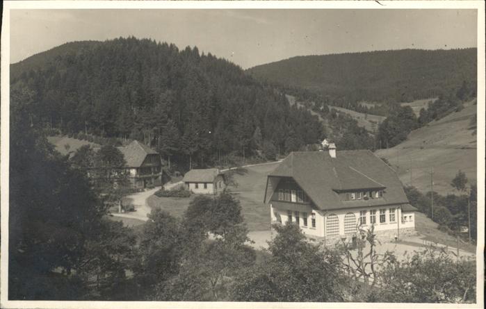 Bad Rippoldsau Schwarzwald Holzwald