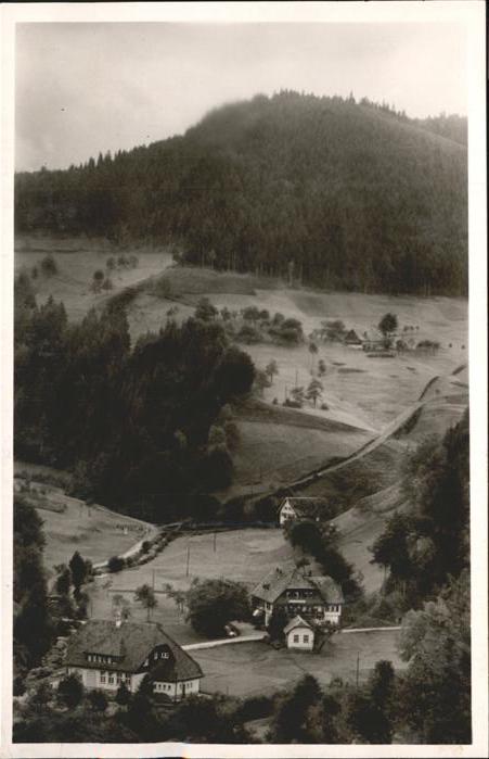 Bad Rippoldsau Schwarzwald Gasthaus Holzwälderhöhe